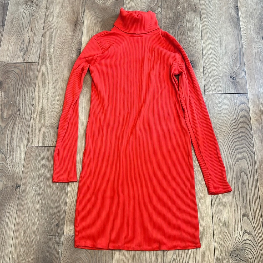 Wild fable ribbed turtle neck dress